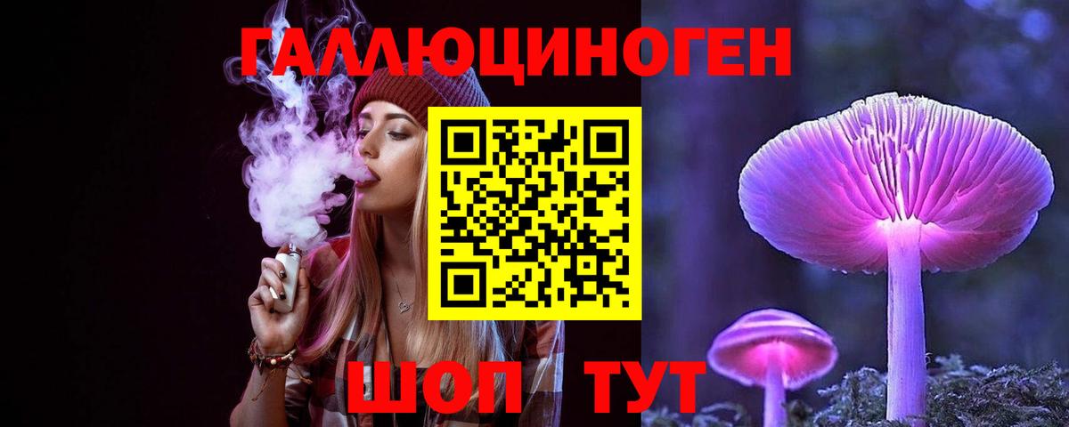 Галлюциногенные грибы Cubensis  Вход с VPN  Ефремов  Галлюциногенные грибы Psilocybine cubensis 